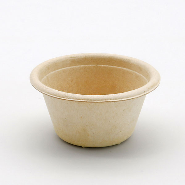 2oz Disposable small cups
