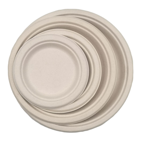 Dinner Plates
